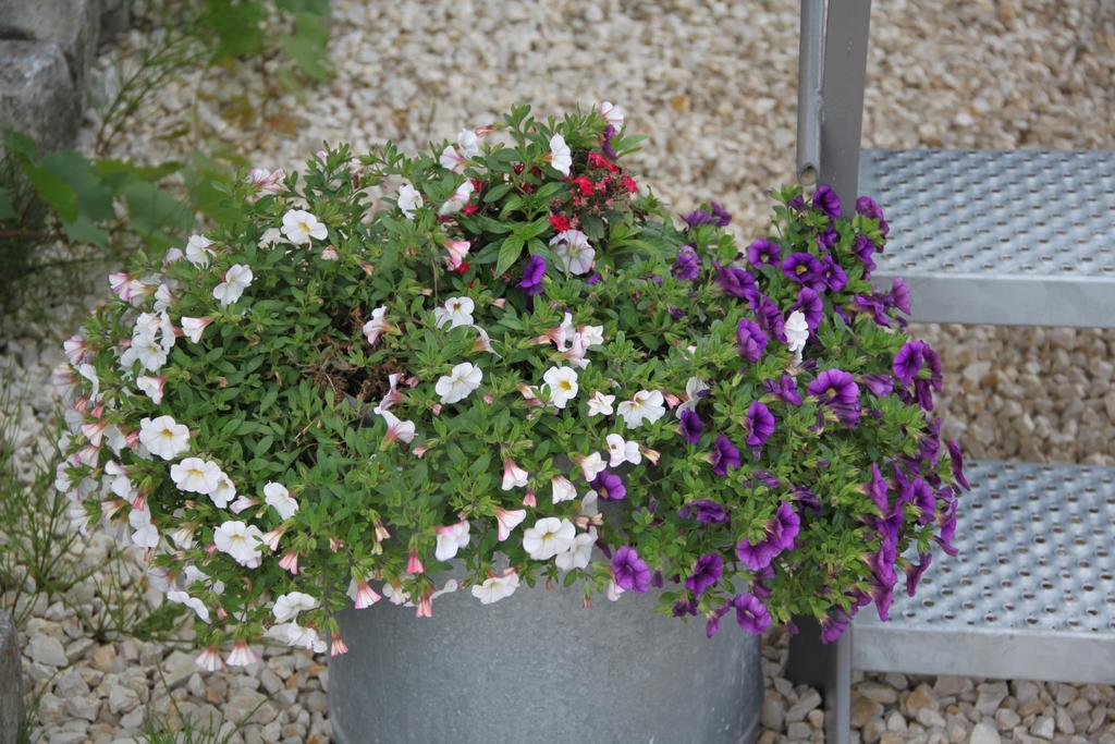 הוילה Hautrage Aux Charmes De La Campagne מראה חיצוני תמונה